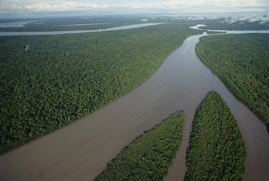 Kikori River In The Rainforest Kikori #1 Photograph by Gerry Ellis