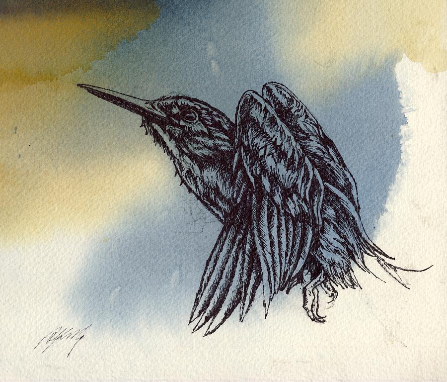 Kingfisher Drawing #1 Drawing by Alfred Ng