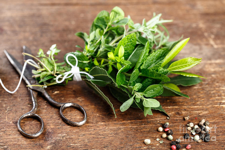 Lace Photograph - Kitchen Herbs #1 by Nailia Schwarz