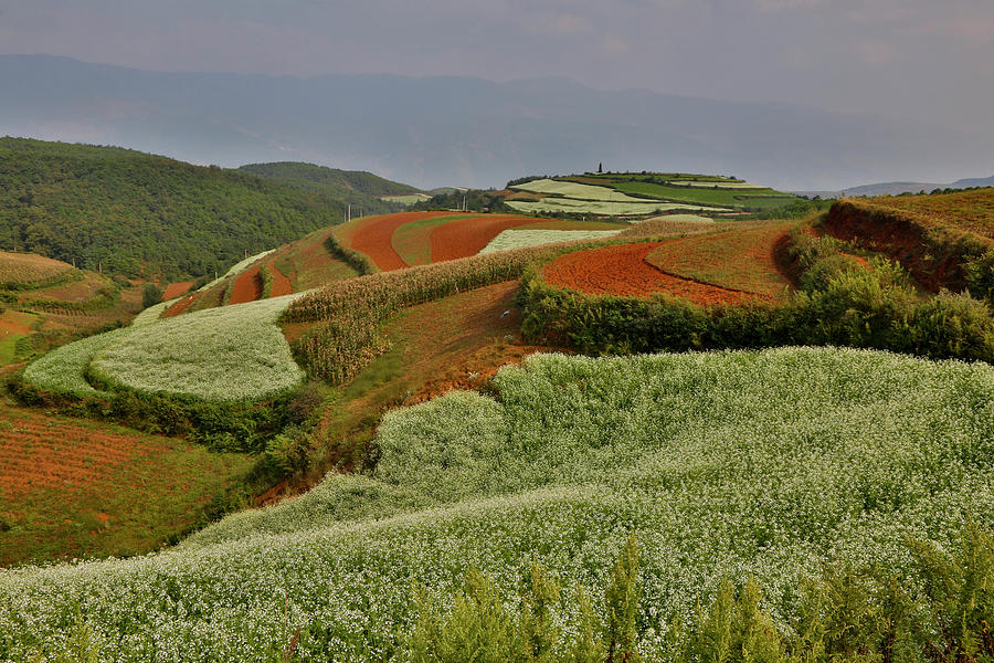 Landscape Photograph - Kunming Dongchuan Red Land Area #1 by Darrell Gulin