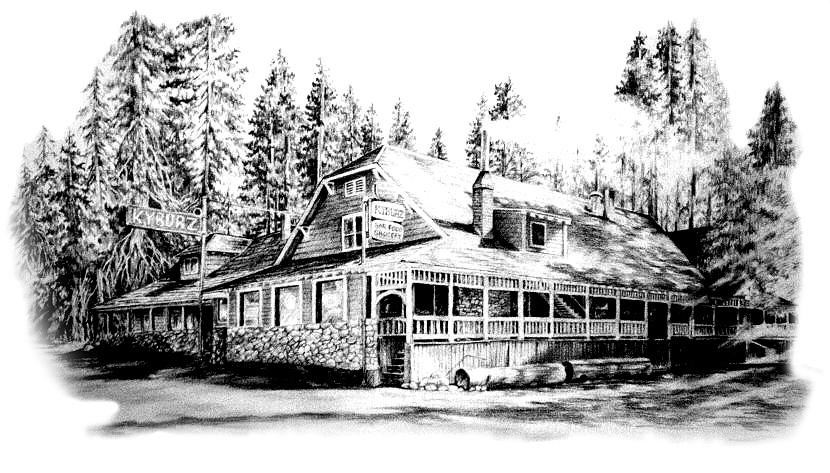 Architecture Drawing - Kyburz Lodge #1 by Jonni Hill