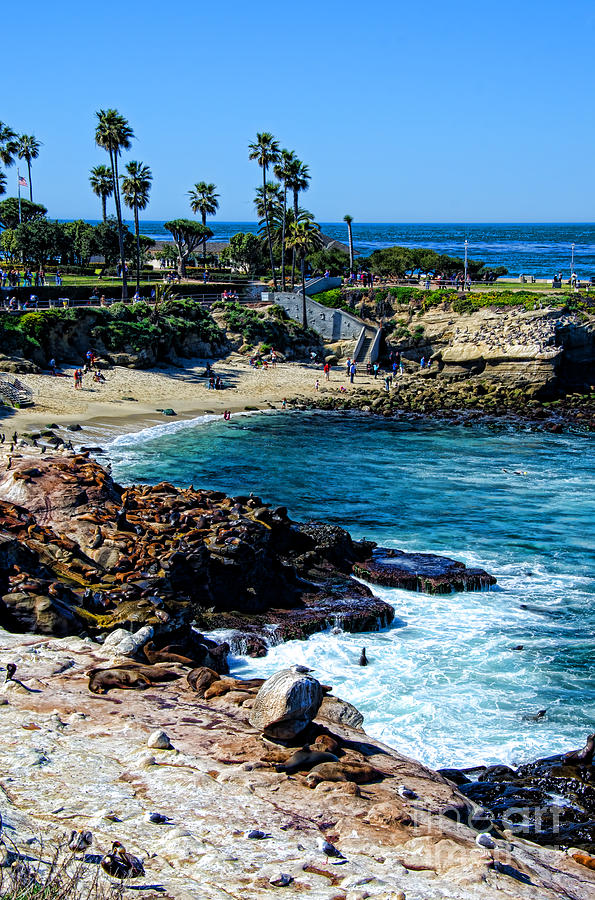 La Jolla Cove Photograph by Baywest Imaging - Pixels