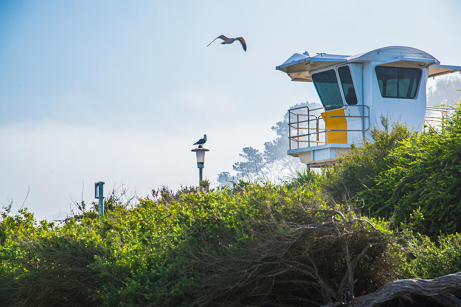 San Diego Photograph - La Jolla Lookout #1 by Jaime Lind
