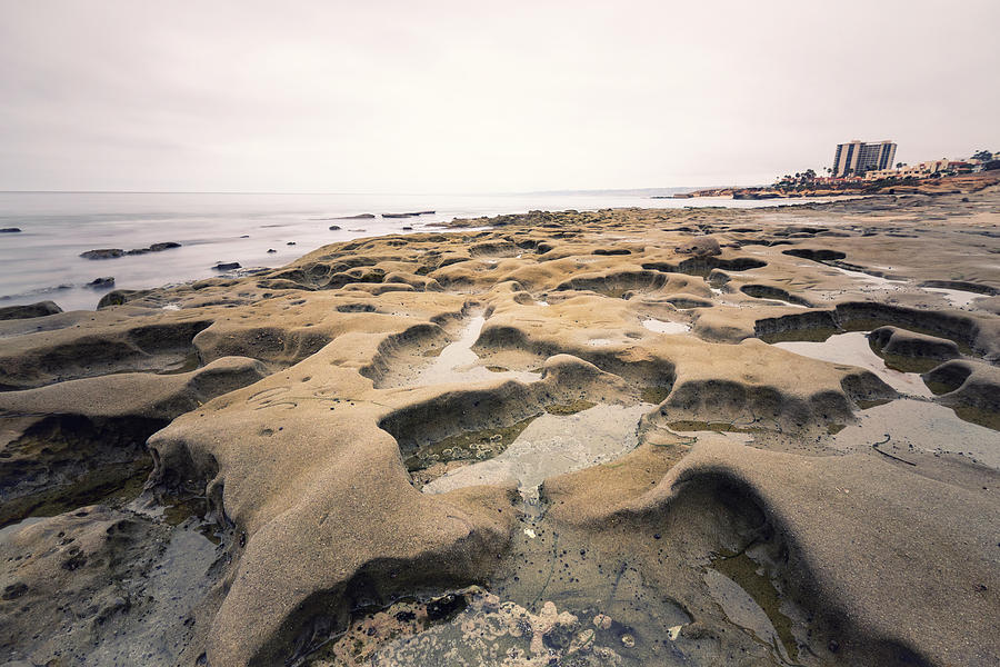 San Diego Photograph - La Jolla Low Tide #1 by Tanya Harrison