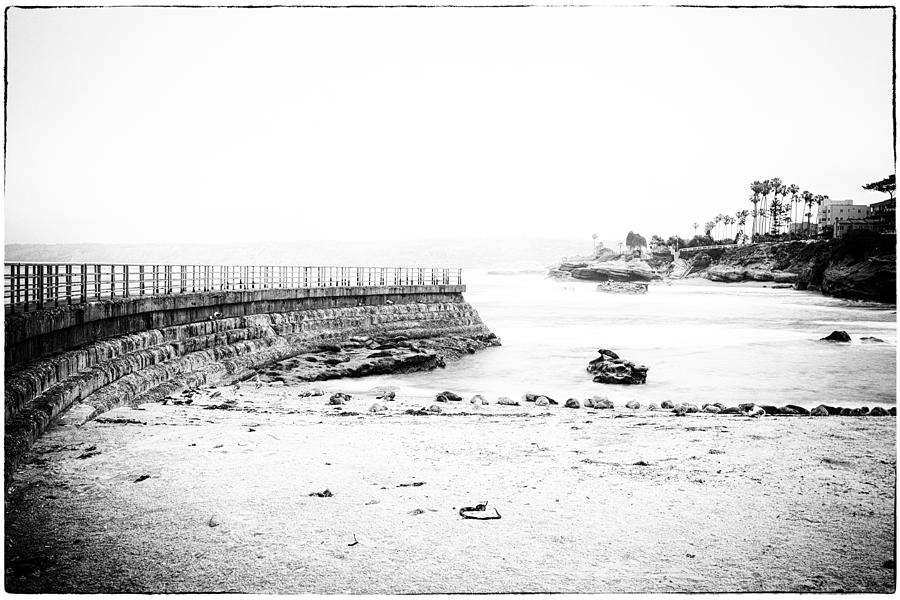 La Jolla Seawall And Seals Photograph