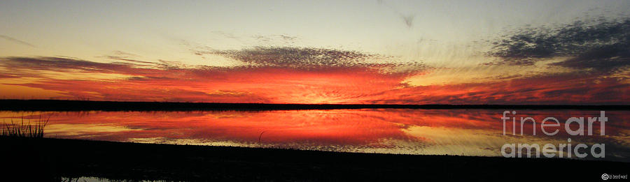 Lacassine Sundown  #2 Photograph by Lizi Beard-Ward