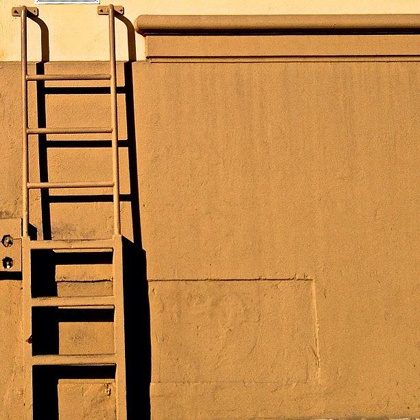 Ladder #1 Photograph by Julie Gebhardt