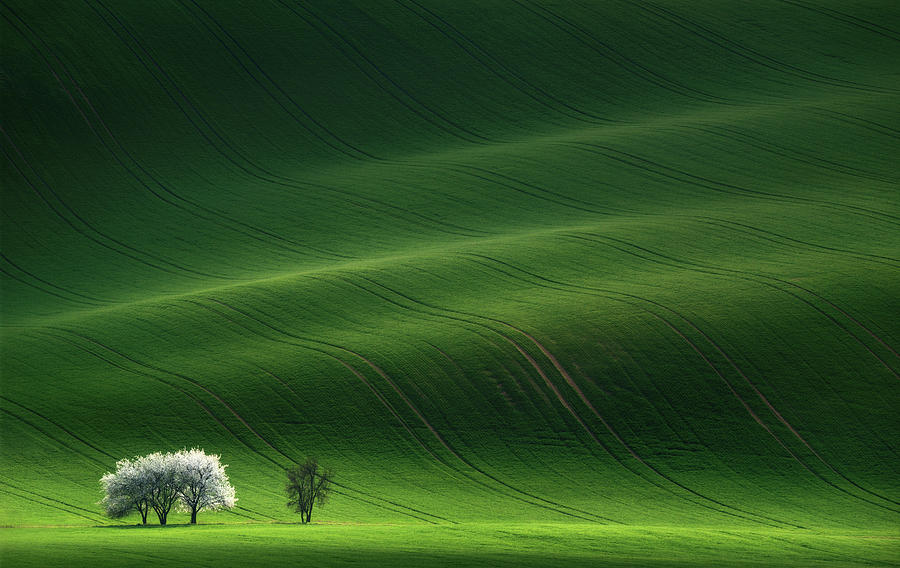Landscape Photograph - Ladies In White by Vlad Sokolovsky
