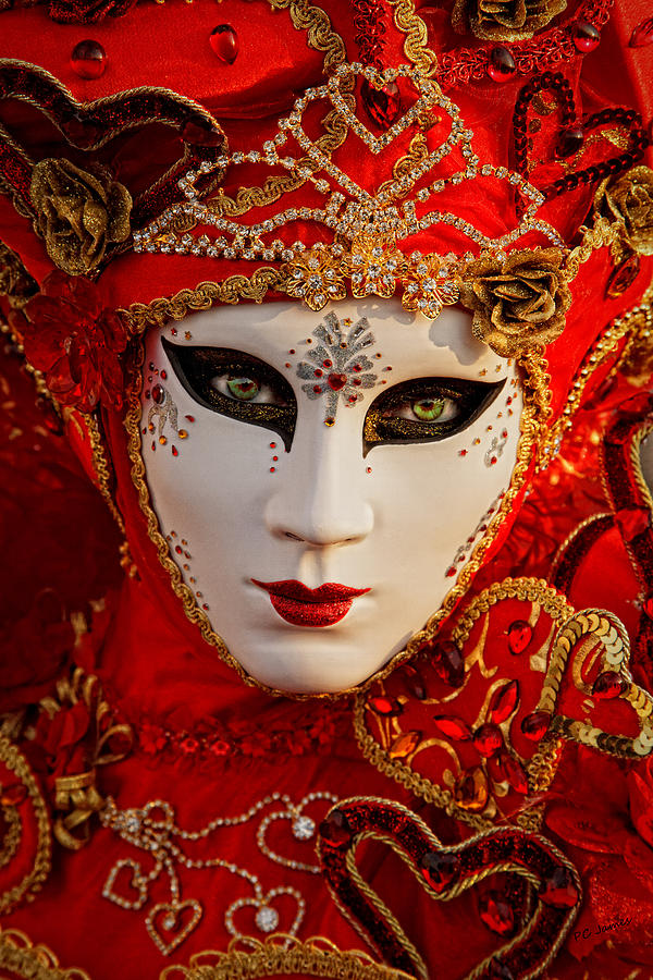 Lady in Red Venice Carnival 40 x 60 Photograph by Paul James - Fine Art ...