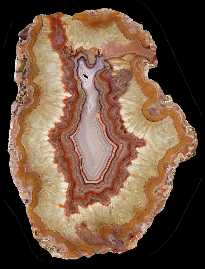 Laguna Agate #1 Photograph by Natural History Museum, London/science Photo Library