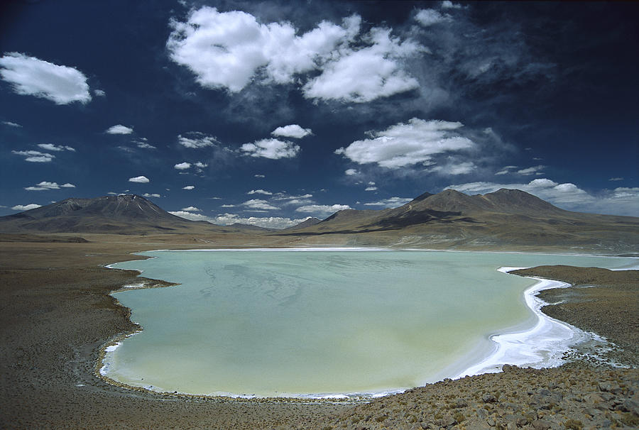 Laguna Canapa Potosi District Altiplano Photograph by Tui De Roy