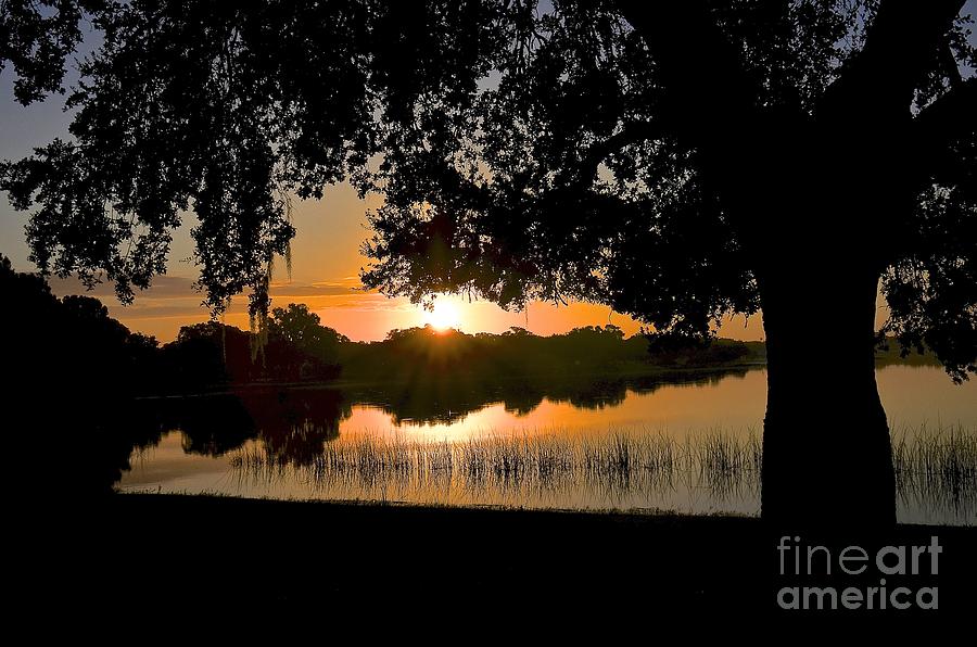 Lake Bonny Sunrise #1 Photograph by Carol  Bradley