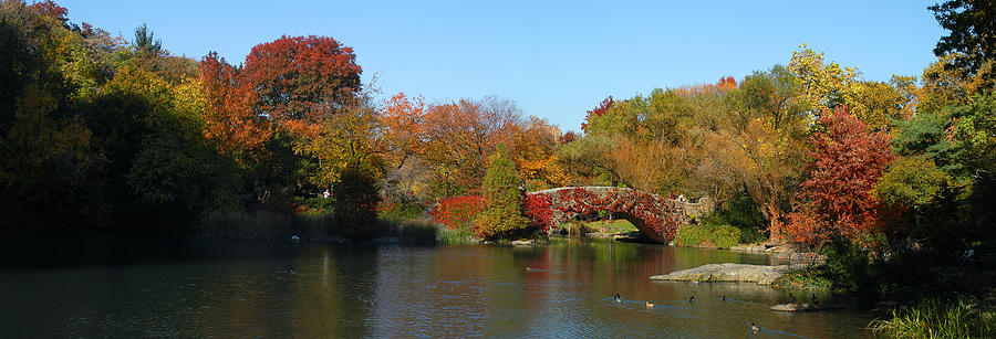 Lake in Central Park #1 Photograph by Yue Wang