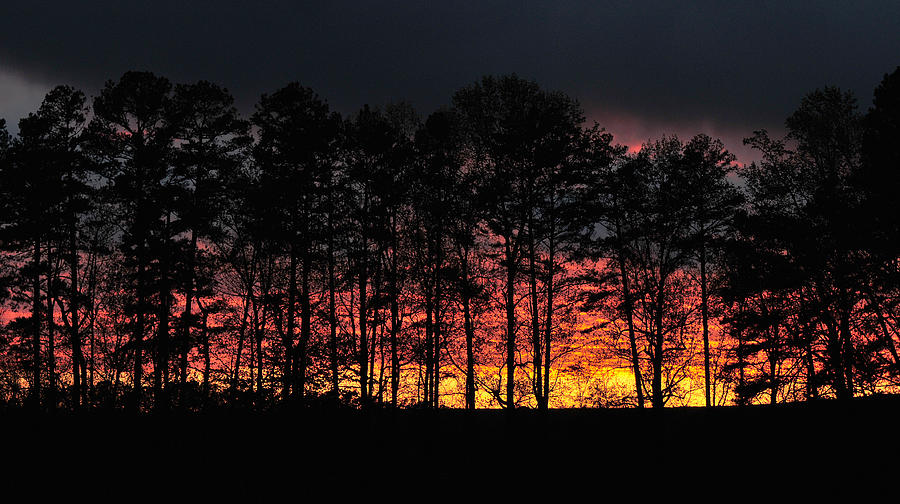 Fire In the Sky, Lake Lucas at Dusk Landscape 2, North Carolina, Photograph, Print Photograph by Eric Abernethy