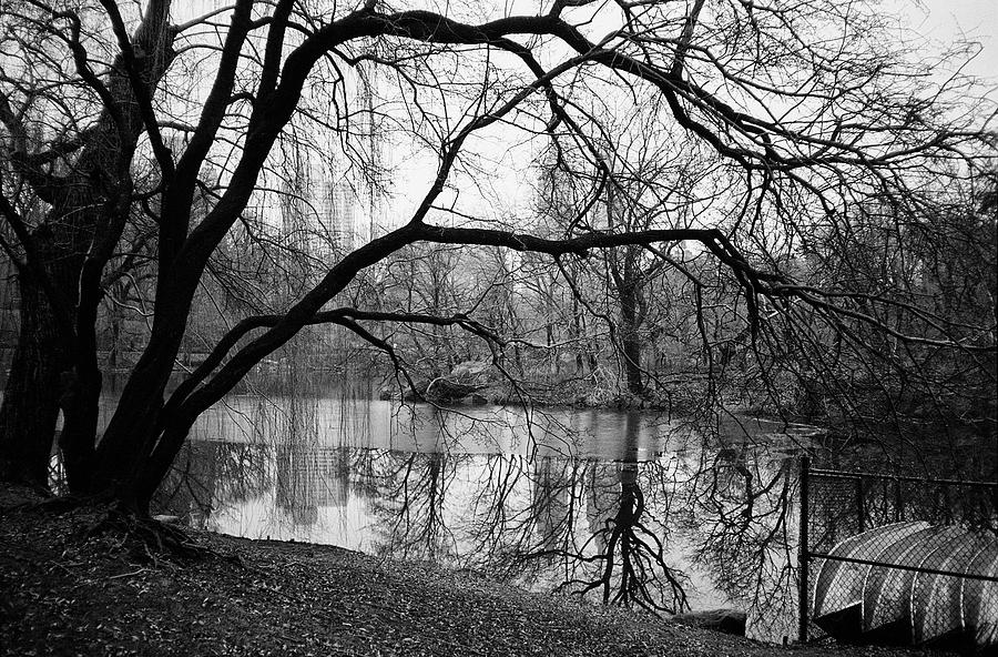 Lake Reflections #1 Photograph by Cornelis Verwaal