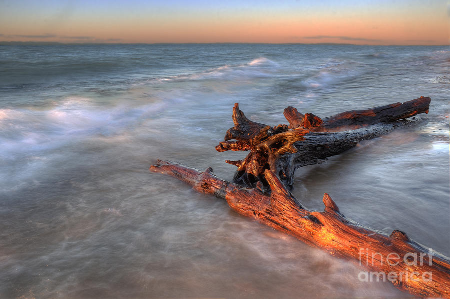 Lighthouse Photograph - Lake Superior Driftwood #1 by Twenty Two North Photography