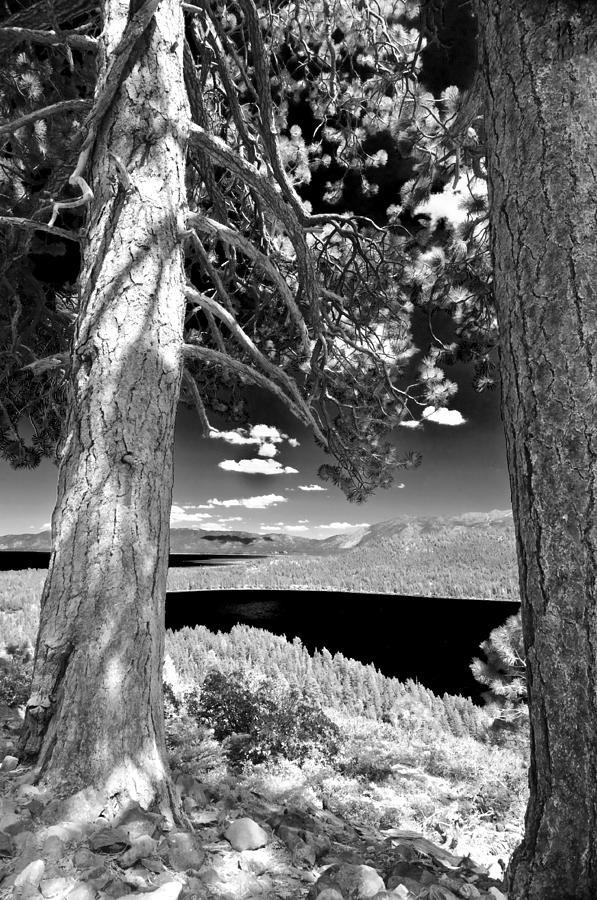 Lake Tahoe #1 Photograph by Sherri Meyer