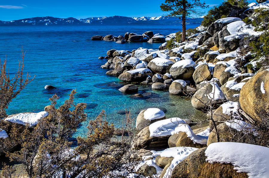 Lake Tahoe Winterscape #1 Photograph by Scott McGuire