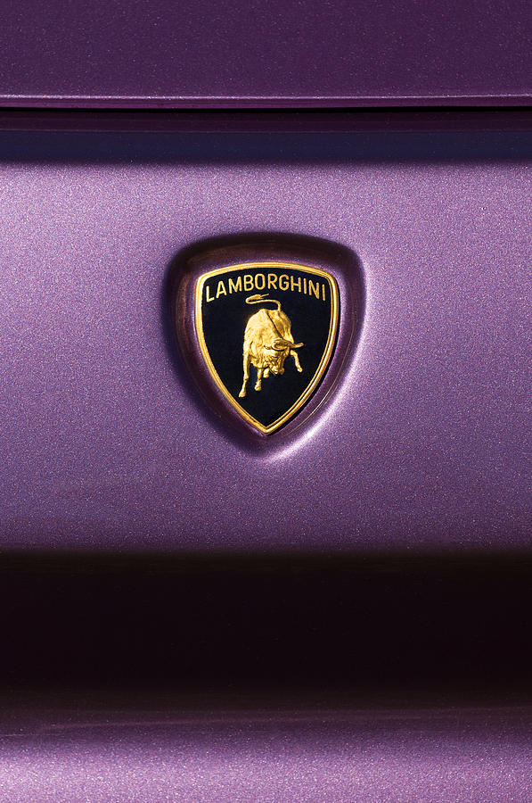 Lamborghini Diablo SE Roadster Emblem #1 Photograph by Jill Reger
