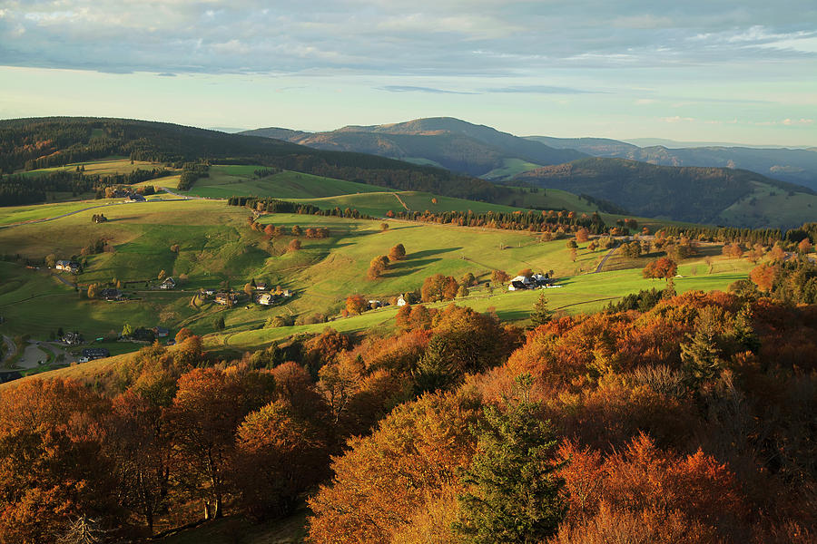 Landscape With Autumn Colours #1 Photograph by Carl Bruemmer