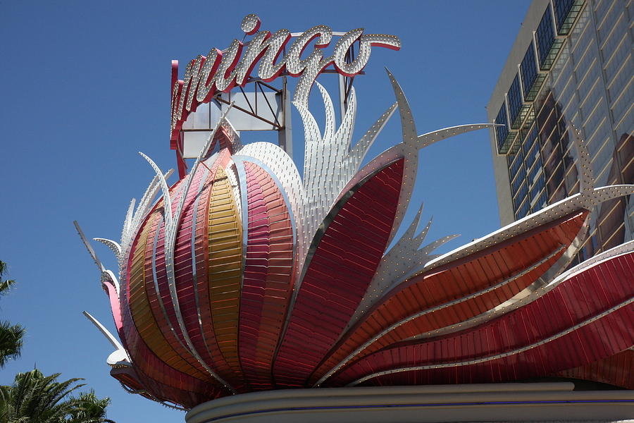 Flamingo Photograph - Las Vegas - Flamingo Casino - 12121 #1 by DC Photographer