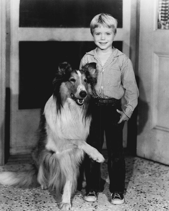 Vintage Photograph - Lassie #1 by Retro Images Archive