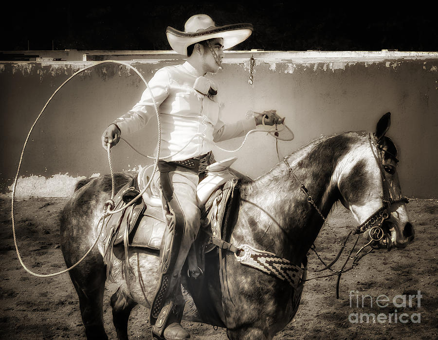 Lasso Artist Photograph by Barry Weiss