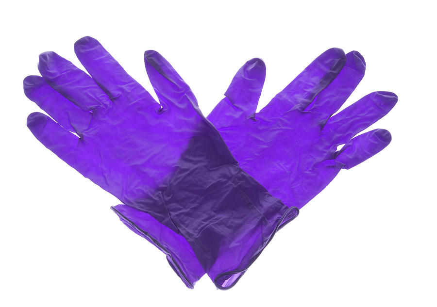 Glove Photograph - Latex Gloves #1 by Natural History Museum, London