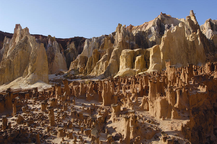 Lavaka Or Erosion Scars Madagascar #1 Photograph by Pete Oxford