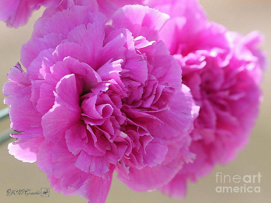 Lavender Carnations #1 Painting by J McCombie