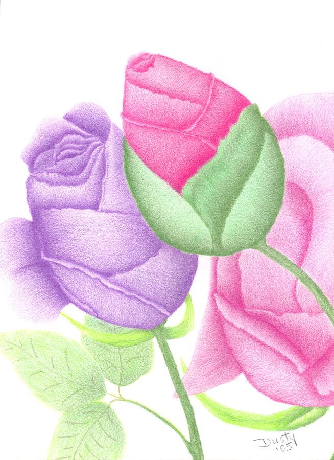 Roses Drawing - Lavender Love Buds by Dusty Reed Roses Drawing - Lavender Love Buds by Dusty Reed