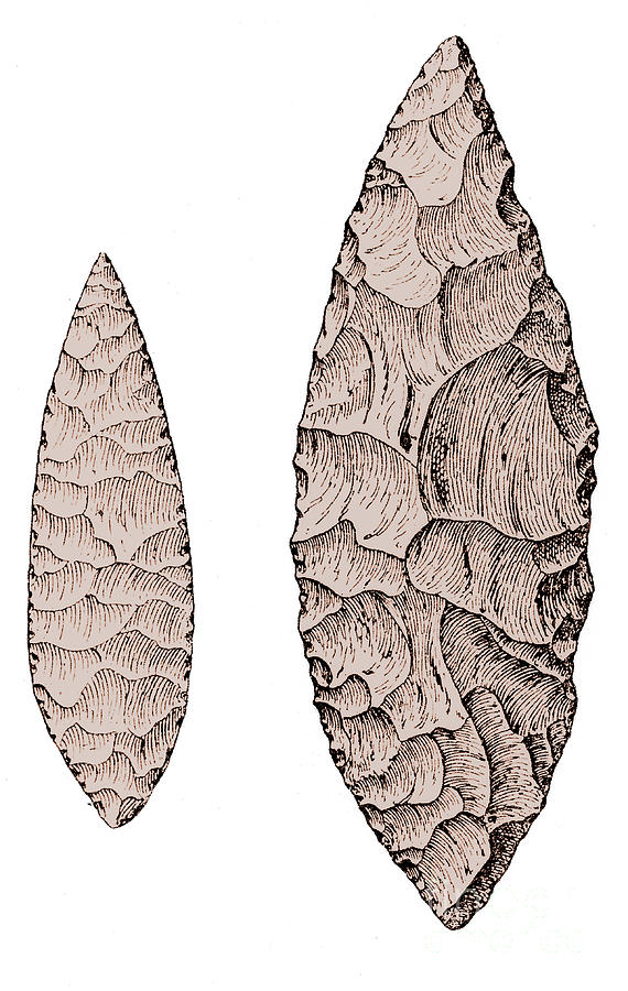 Leaf-shaped Flint Implements, Upper #1 Photograph by Science Source