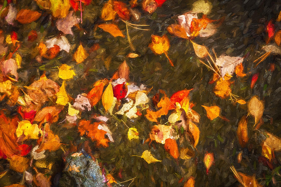 Leaves on the Water Green Pond New Jersey Painted  #1 Photograph by Rich Franco