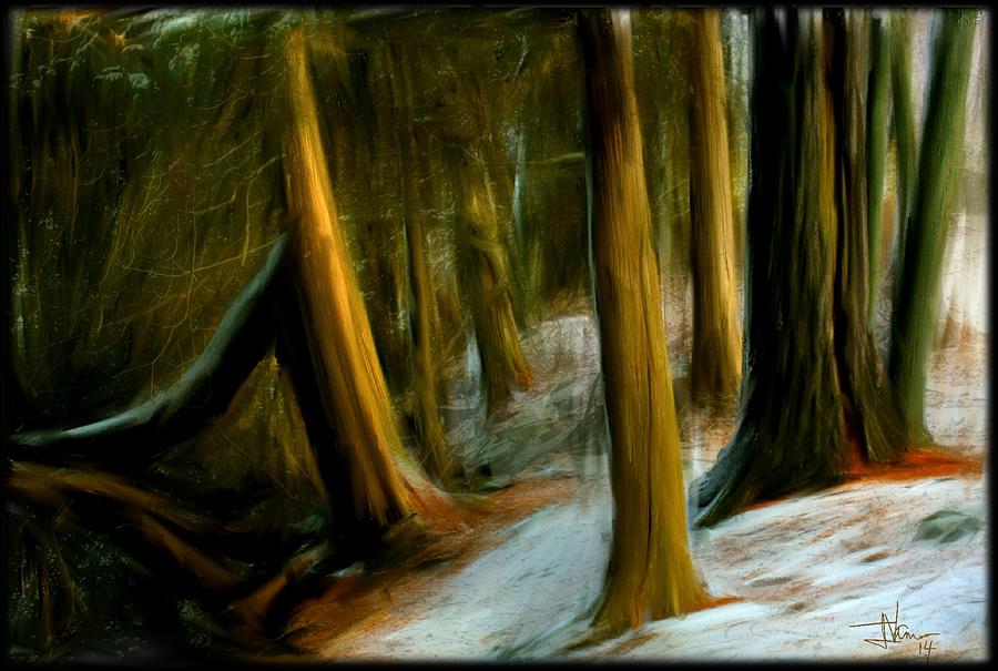 Lemoine Forest #1 Digital Art by Jim Vance