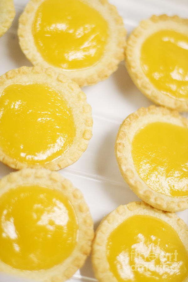 Lemon Tarts Photograph by Jorgo Photography