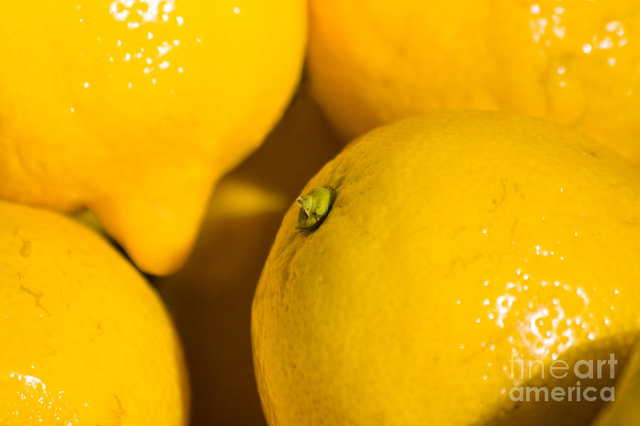 Lemons Photograph by Jorgo Photography