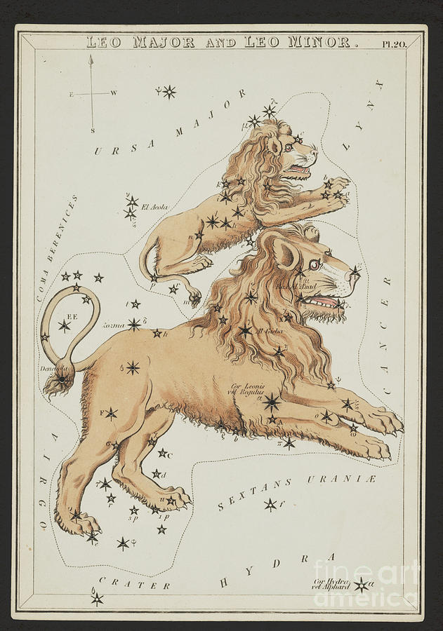 Sign Photograph - Leo Major And Leo Minor Constellations #2 by Science Source