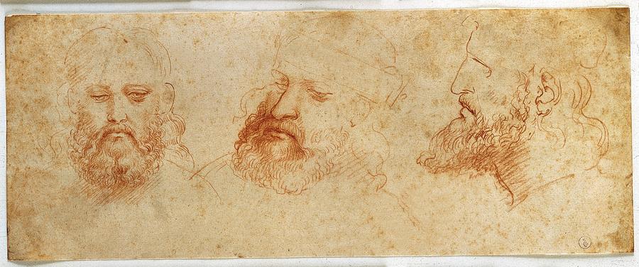 Leonardo Da Vinci, Profile #1 Photograph by Everett