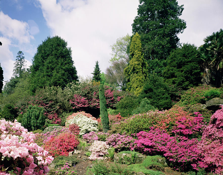 Leonardslee Garden #1 Photograph by Science Photo Library Leonardslee Garden #1 Photograph by Science Photo Library