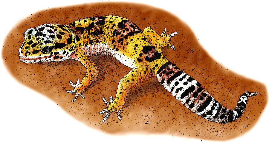 Leopard Gecko #1 Photograph by Roger Hall