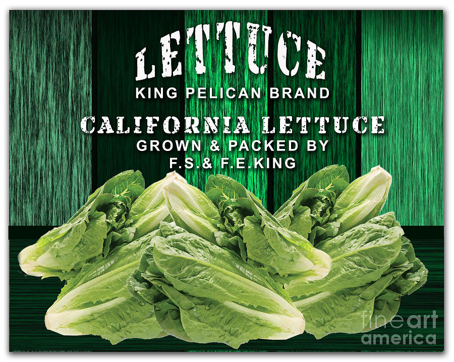 Vegetable Mixed Media - Lettuce Farm #1 by Marvin Blaine