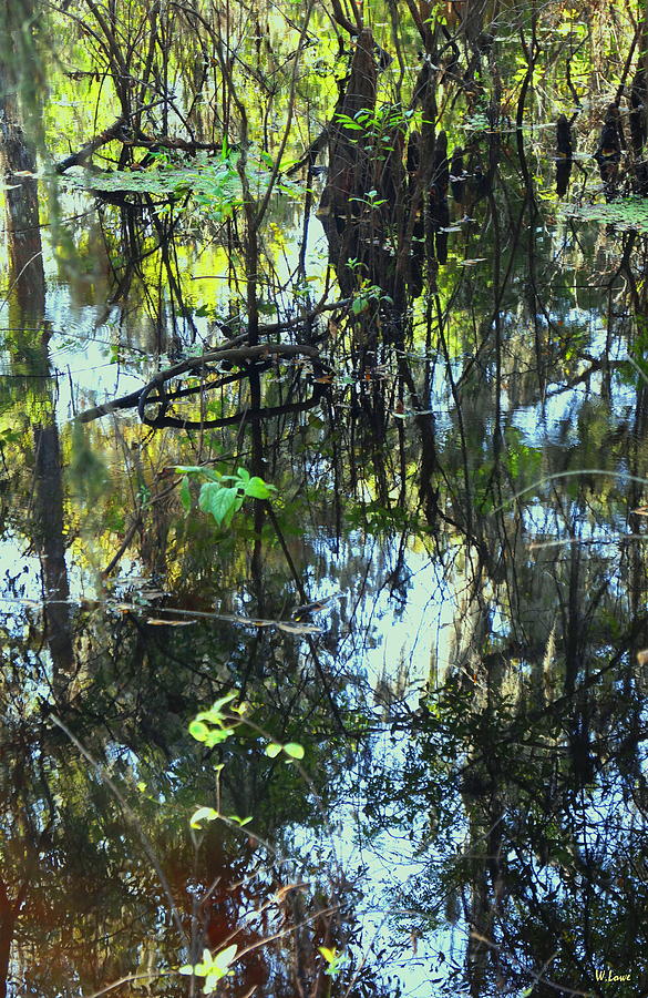 Lettuce Lake abstract #2 Photograph by Wendell Lowe