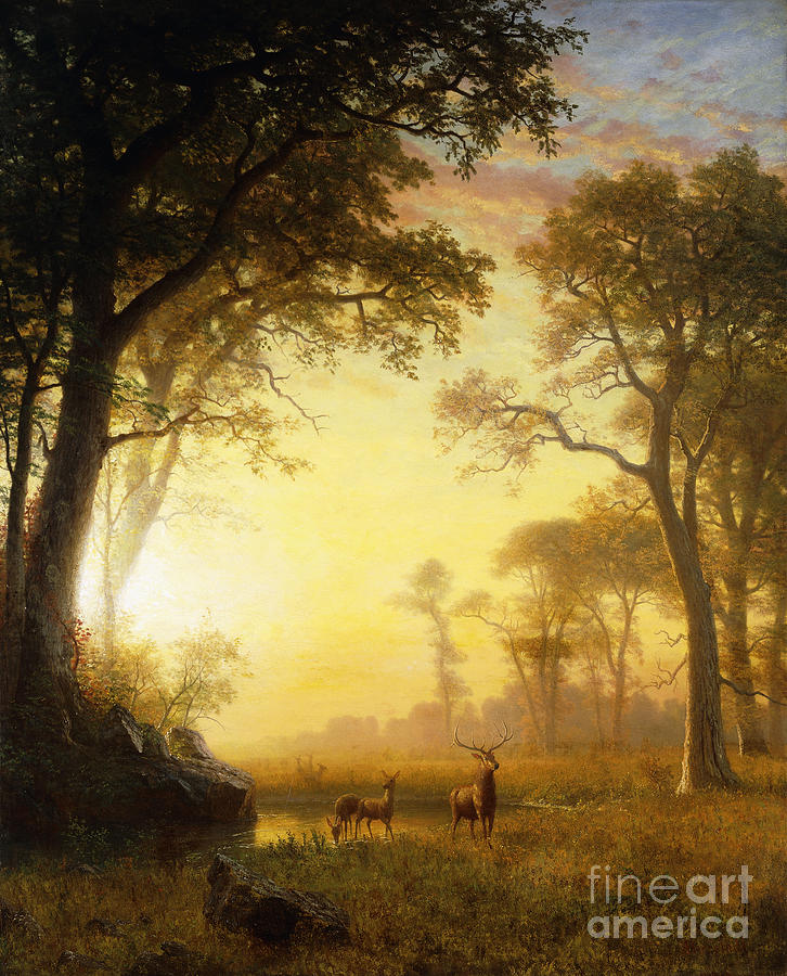 Albert Bierstadt  Painting - Light in the Forest by Albert Bierstadt