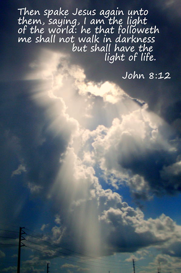 Light of Life #1 Photograph by Sheri McLeroy