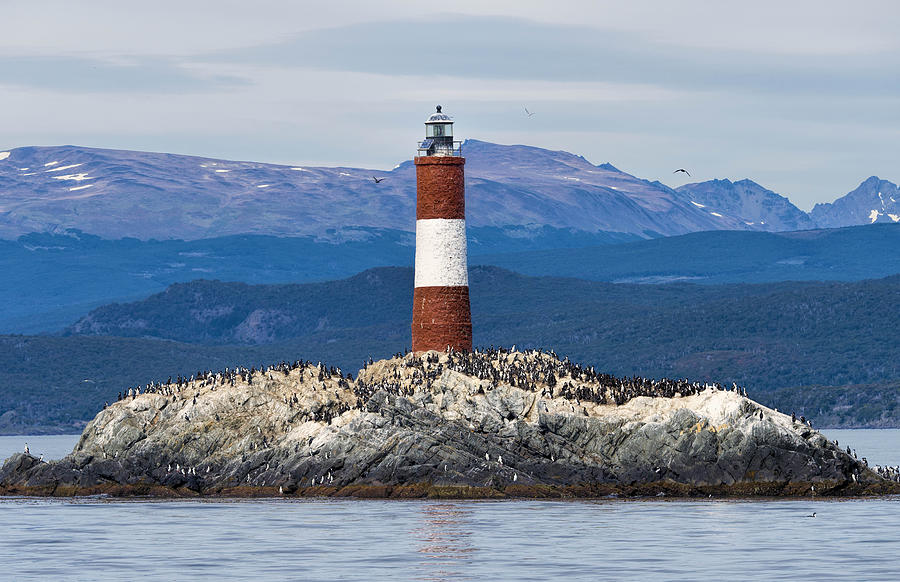 Lighthouse in the Beagle Channel Photograph by Jennifer LaBouff