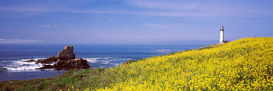 Nature Photograph - Lighthouse On The Coast, Pigeon Point #1 by Panoramic Images