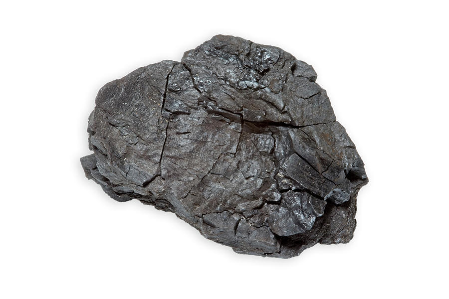 Lignite Coal Specimen #1 by Science Stock Photography/science Photo Library