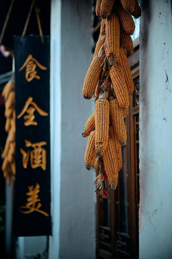 Lijiang Old Town #1 Photograph by Songquan Deng