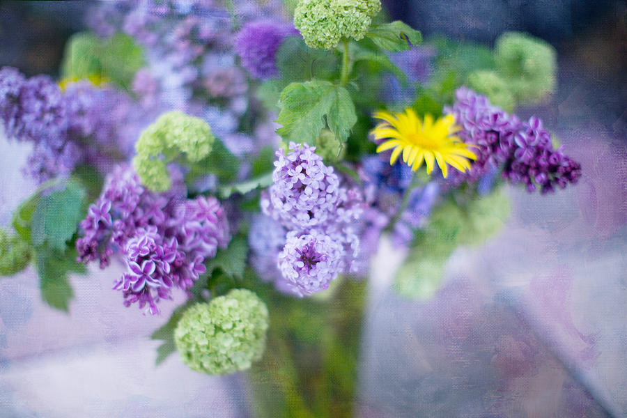 Spring Photograph - Lilacs in Vase 3 #1 by Rebecca Cozart