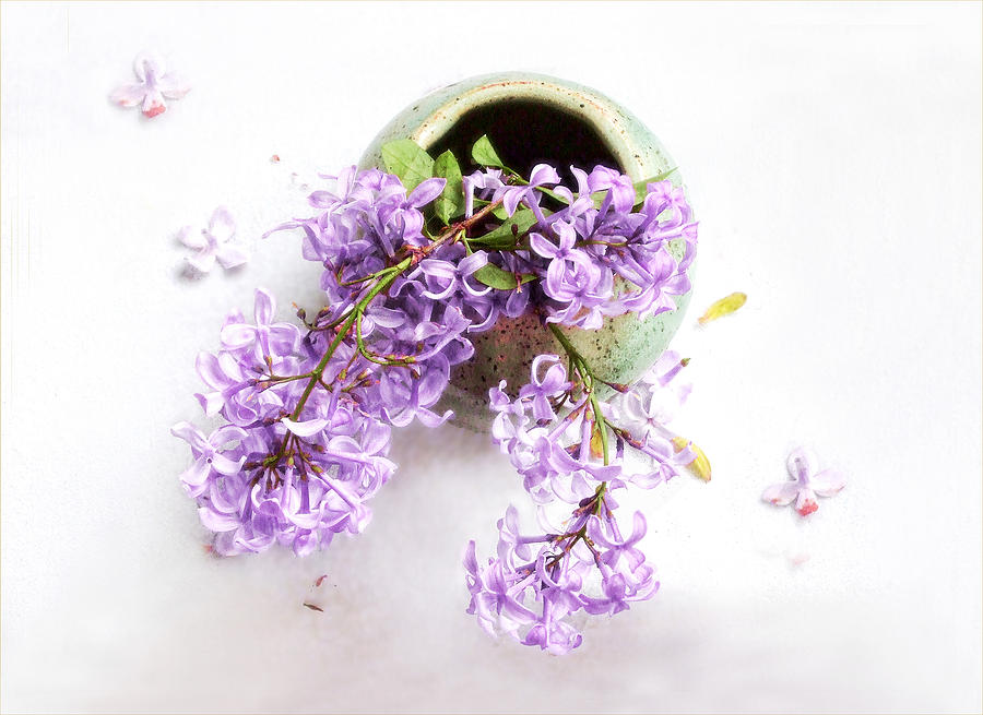 Lilacs Still Life Photograph by Louise Kumpf